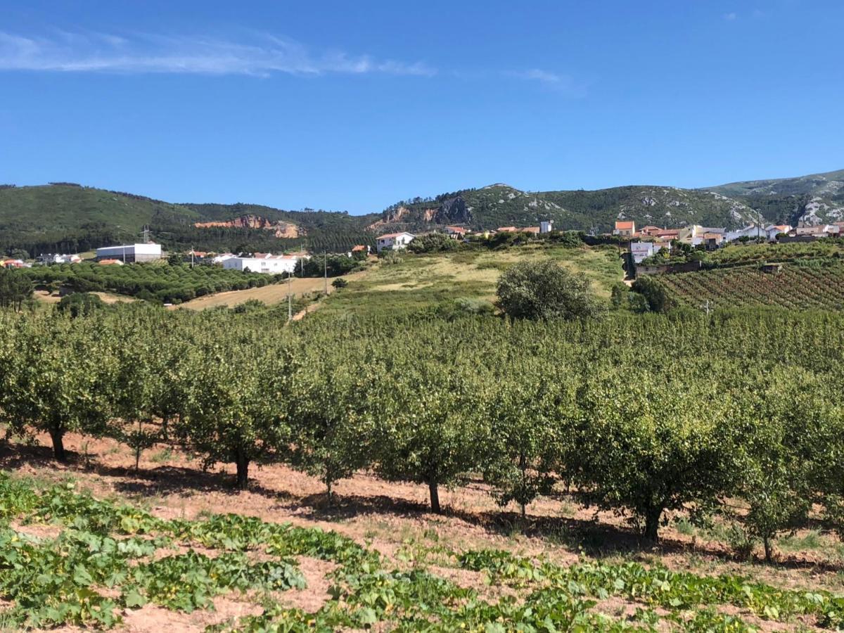 Terra Luso Proche De Montejunto Bed & Breakfast Cadaval Exterior foto