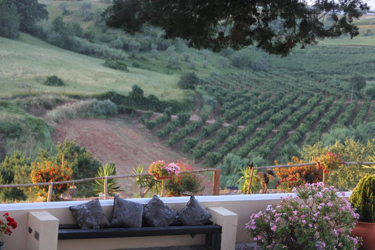 Terra Luso Proche De Montejunto Bed & Breakfast Cadaval Exterior foto