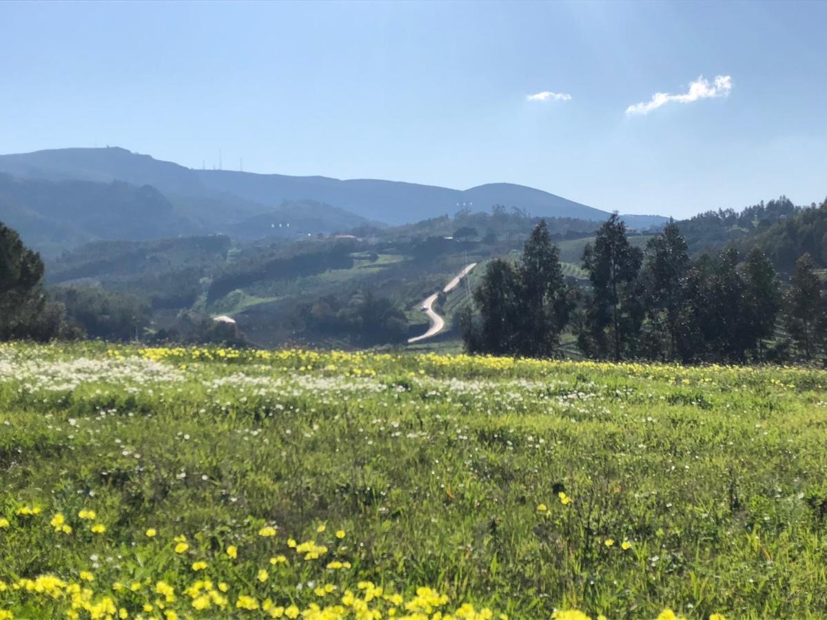 Terra Luso Proche De Montejunto Bed & Breakfast Cadaval Exterior foto